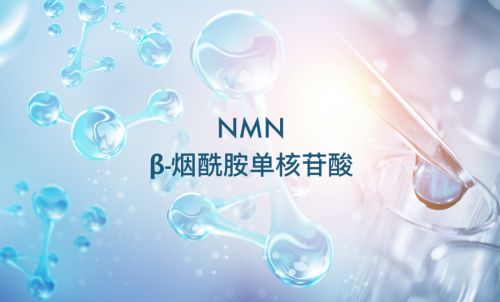 衛(wèi)健委正式受理成為食品添加劑，NMN領(lǐng)跑2023已成定局