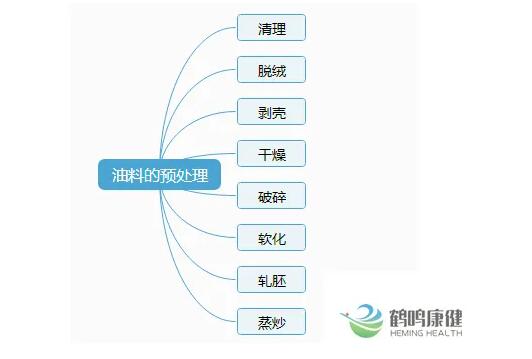 食用油怎樣加工才安全？